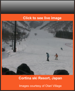 Cortina ski Resort, Japan  Images courtesy of Otari Village    Click to see live image