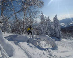 Cortina ski resort japan
