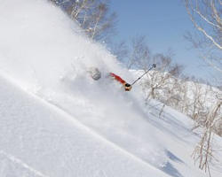 sanosaka ski resort japan