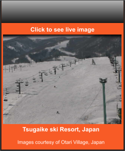 Tsugaike ski Resort, Japan  Images courtesy of Otari Village, Japan    Click to see live image