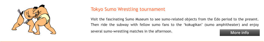 Tokyo Sumo Wrestling tournament Visit the fascinating Sumo Museum to see sumo-related objects from the Edo period to the present. Then ride the subway with fellow sumo fans to the ‘kokugikan’ (sumo amphitheater) and enjoy several sumo-wrestling matches in the afternoon.   More info